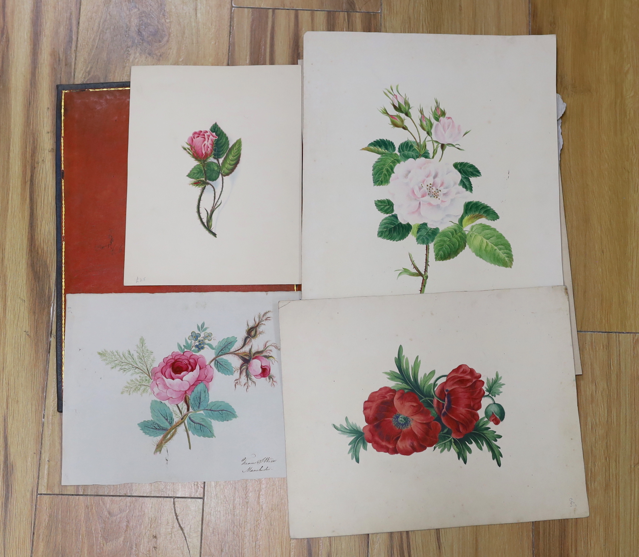 A collection of 19th century botanical watercolour studies on paper, one indistinctly signed and inscribed Manchester in ink, largest 34 x 26cm, unframed, housed in a tooled leather wallet